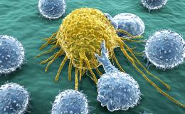 Other/Multi-Tumor